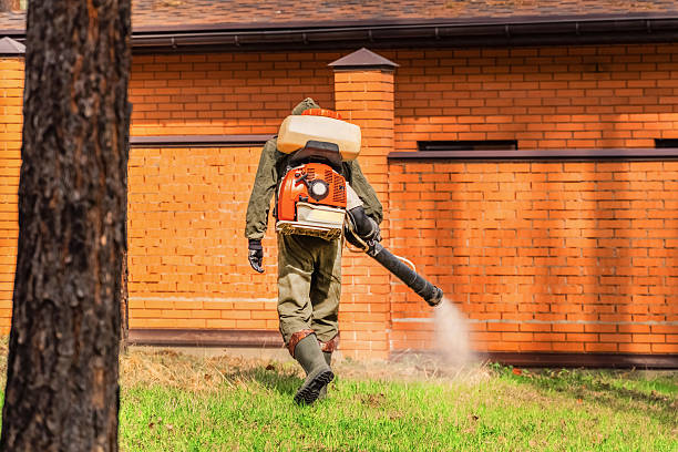 Bed Bug Clearance Verification and Documentation in Lamar